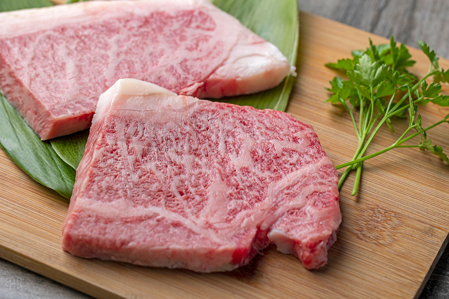 大型グランピングドームテント