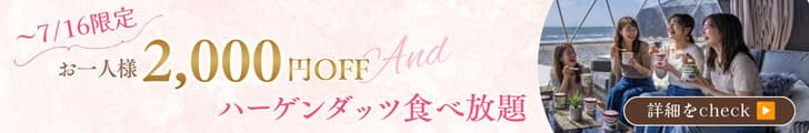 2000円OFF＆ハーゲンダッツ食べ放題プラン