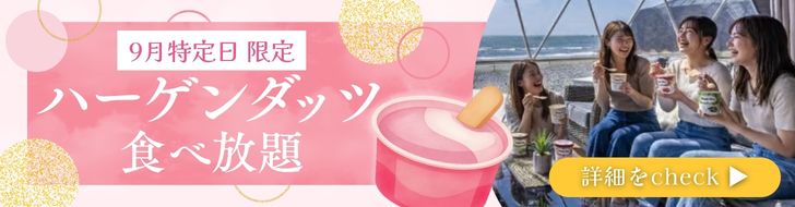 ハーゲンダッツ食べ放題プラン